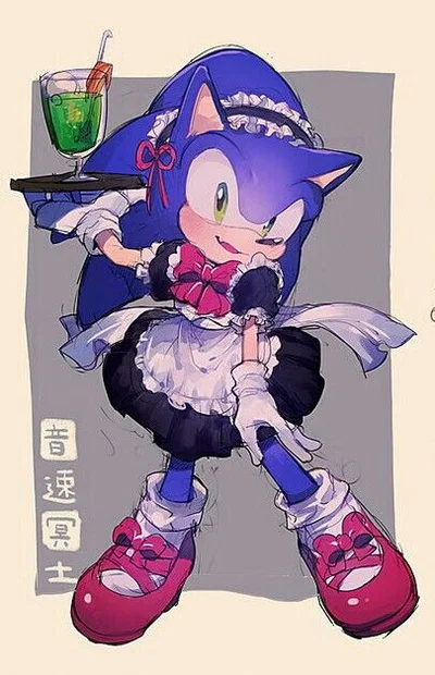 sonic the hedgehog (Maid)