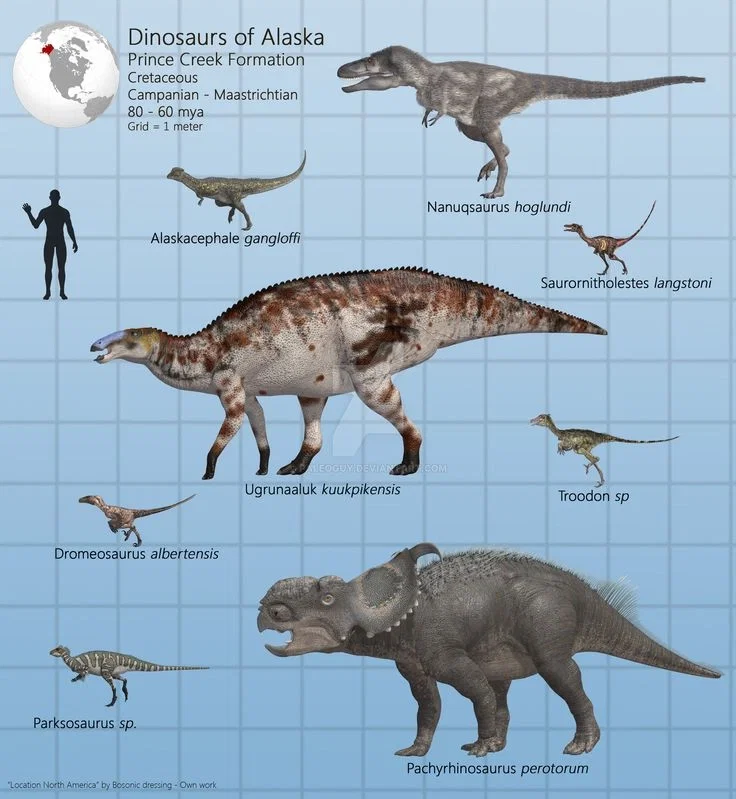 Cretaceous Alaska