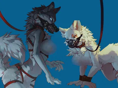Myra & Nyra | Duo Vers.