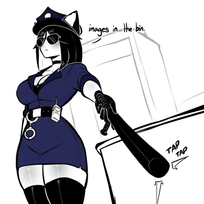 Airport Security Officer