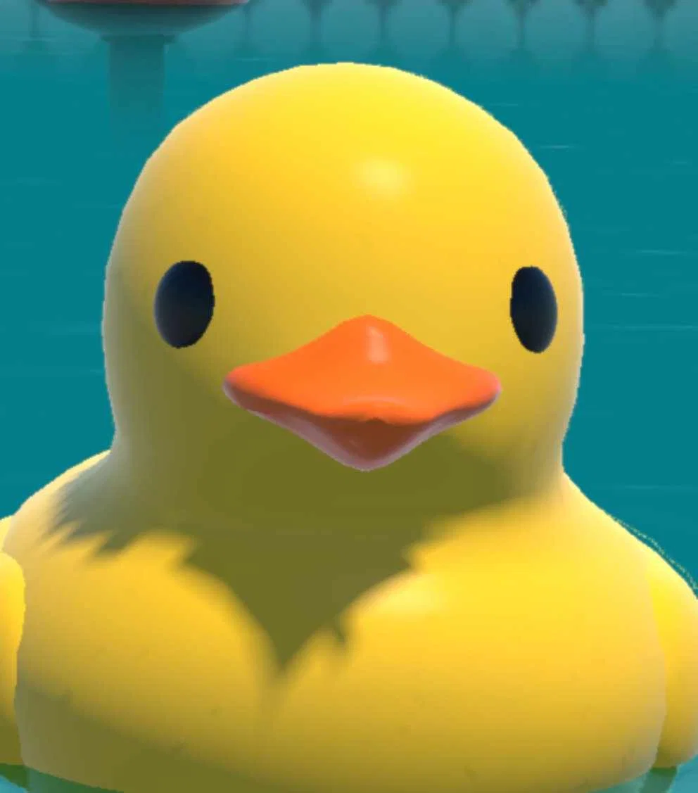 Duck
