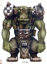 ORKZ (Waaaghamma 40k) (Warhammer 40k)