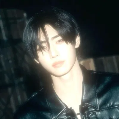 Park Sunghoon | °☆idol☆°