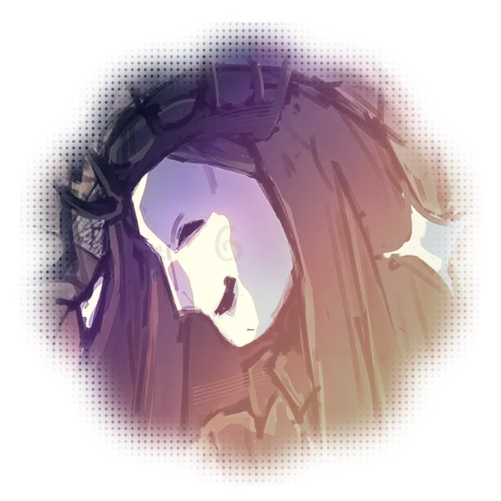 [ 7 ] NOLI