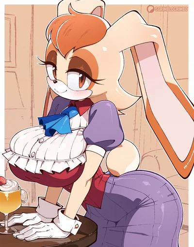 Vanilla the Rabbit - Sonic