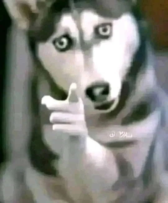 Hey goys gotta say stuff!