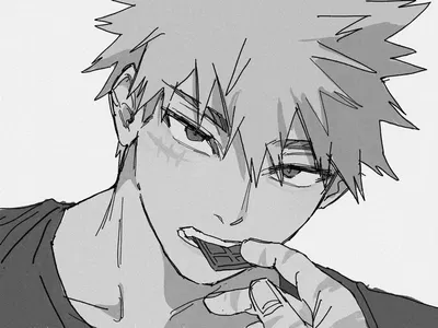 Katsuki Bakugou