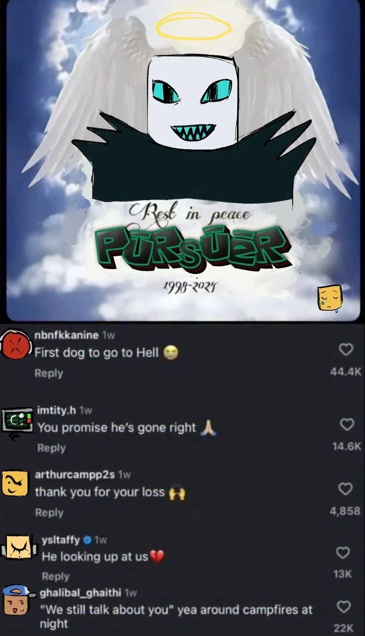 He's not a dawg💔💔💔