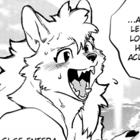 Wolf Haoran 