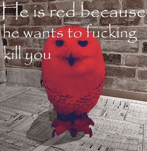 Chat, I'm out
