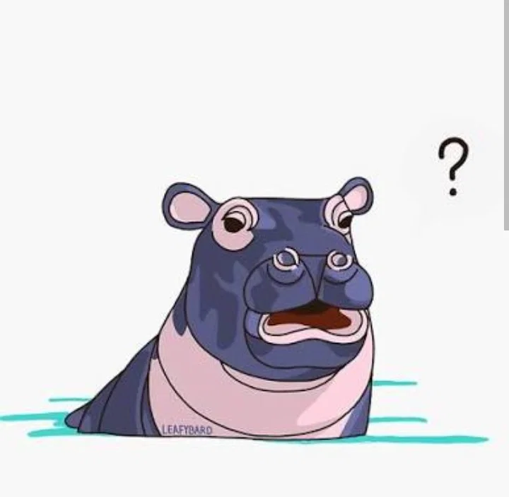 I am stupid 