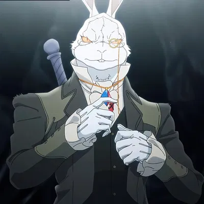 White Rabbit - DMC