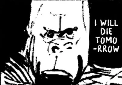 Gorilla