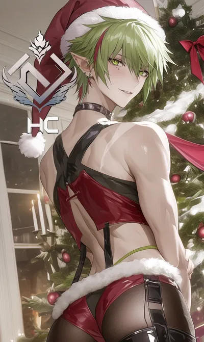 Renee - Santa's special gift