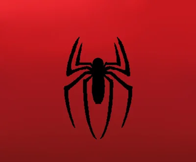 SNEAKPEEKS | 67 Followers