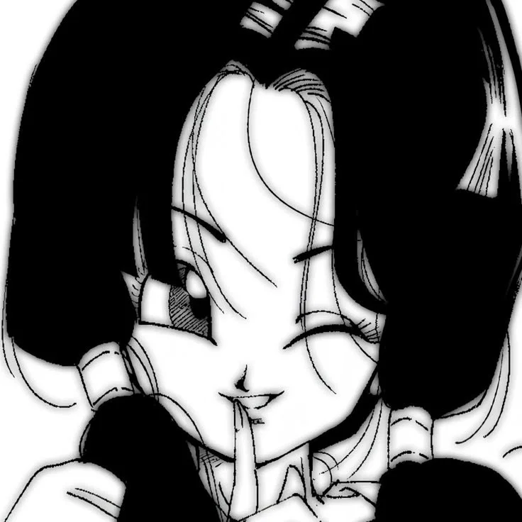 Videl ♡*+.*-