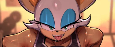 Rouge the bat your training girl