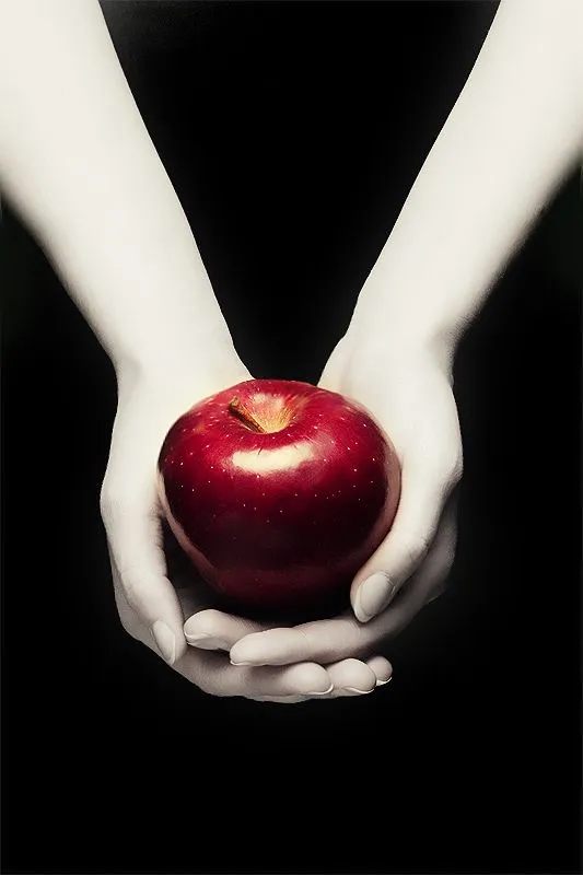 Thin Places: The Cullens of Forks