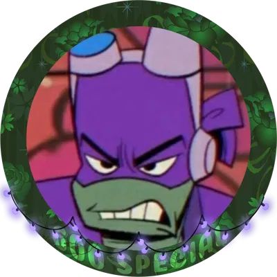 ROTTMNT - Donatello