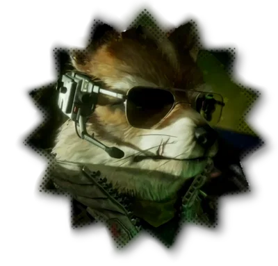 ⋮ ⌗ ┆ JAMES MCCLOUD