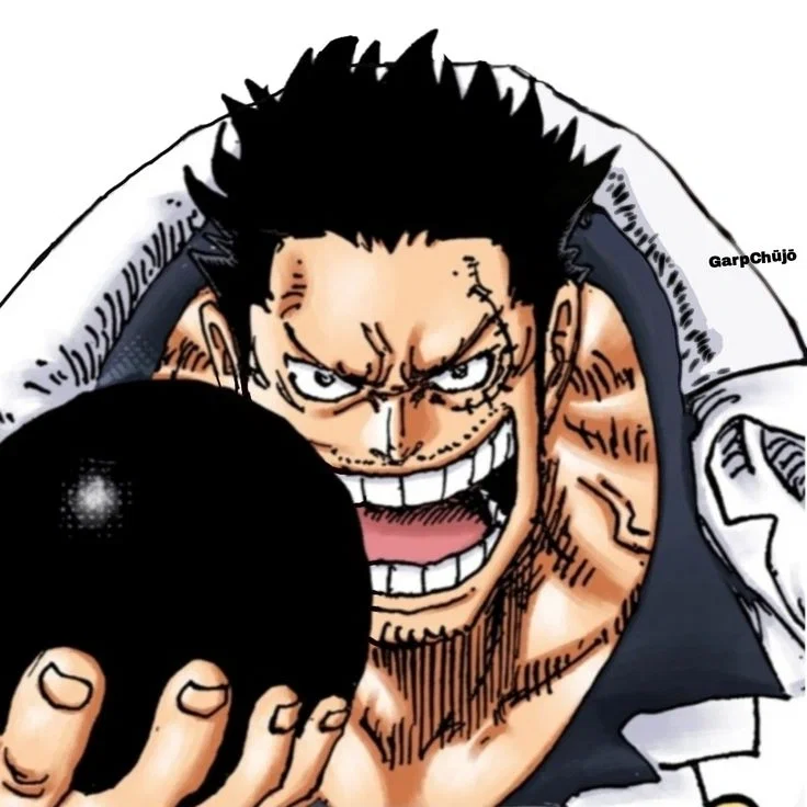 Garp — One piece 
