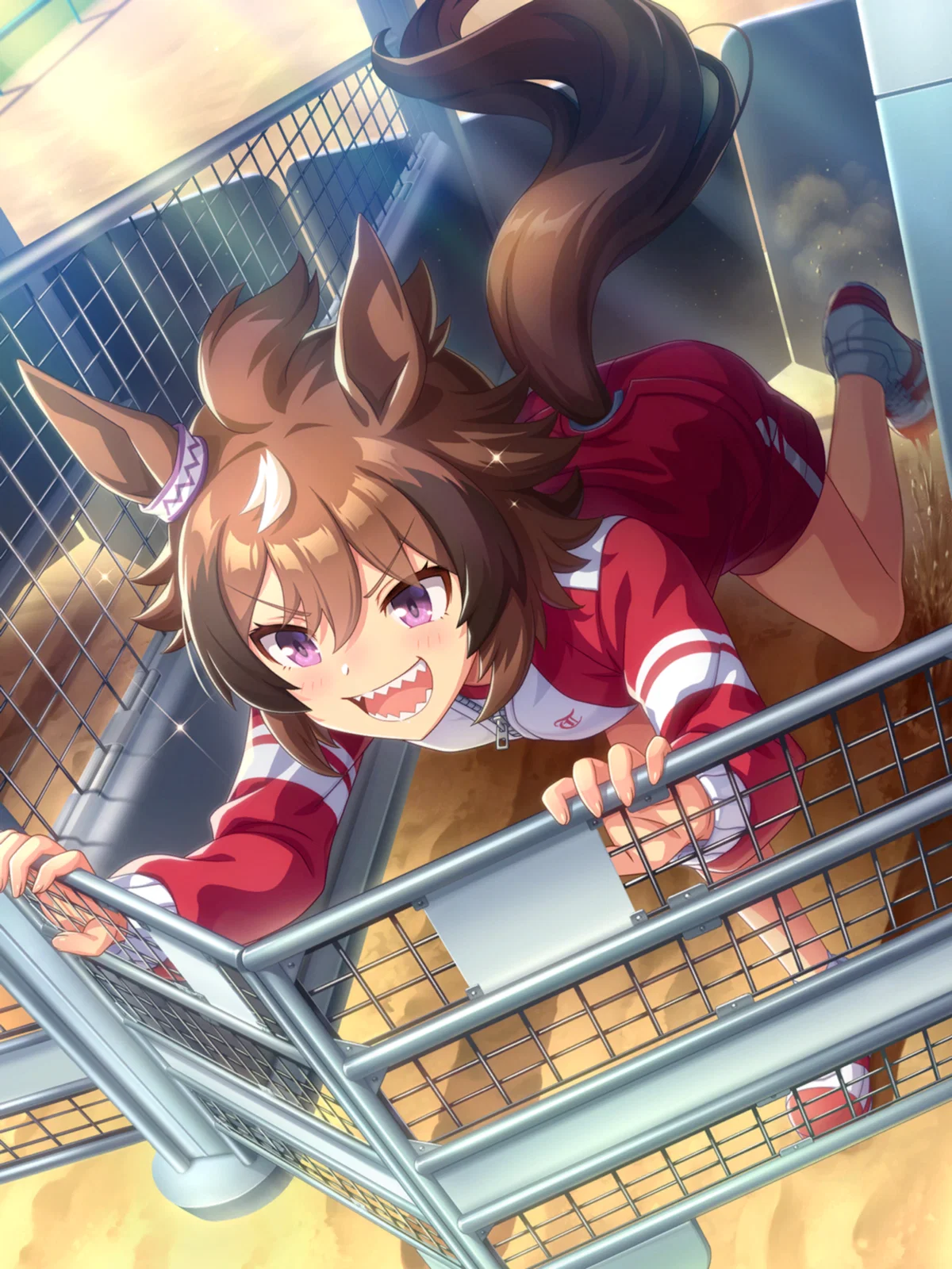 -UM- Shinko Windy