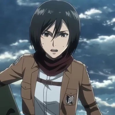 🌸Mikasa Ackerman🌸