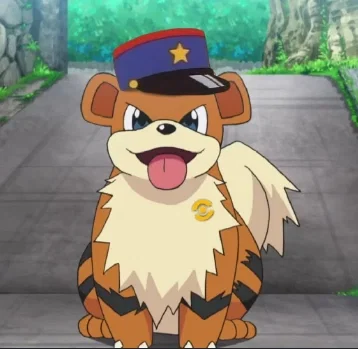 Pokemon Police Force (TF)