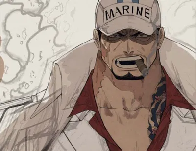 Sakazuki Akainu 