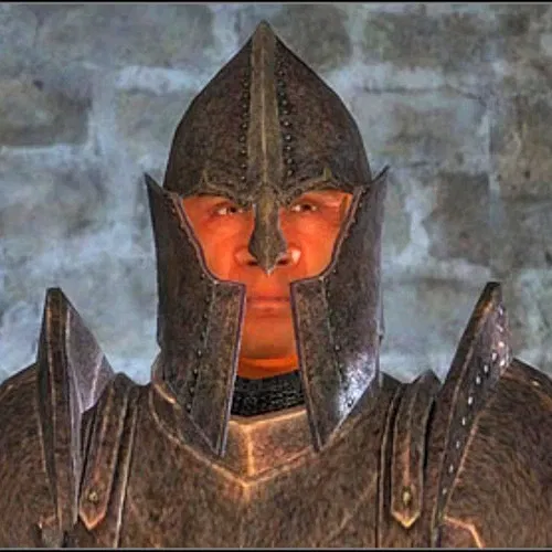 REQUEST BOT