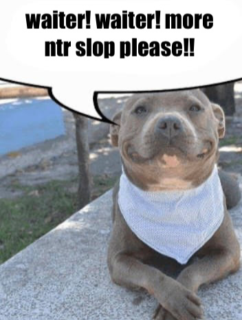 I LOOOOVE ntr slop totally 