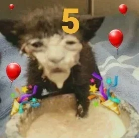 than four five follr!!!