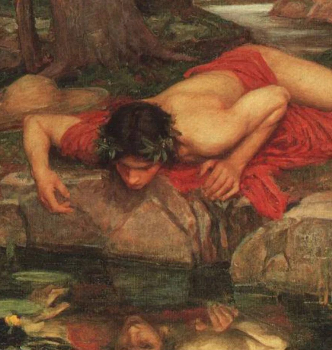 Narcissus ~ Your Enemy