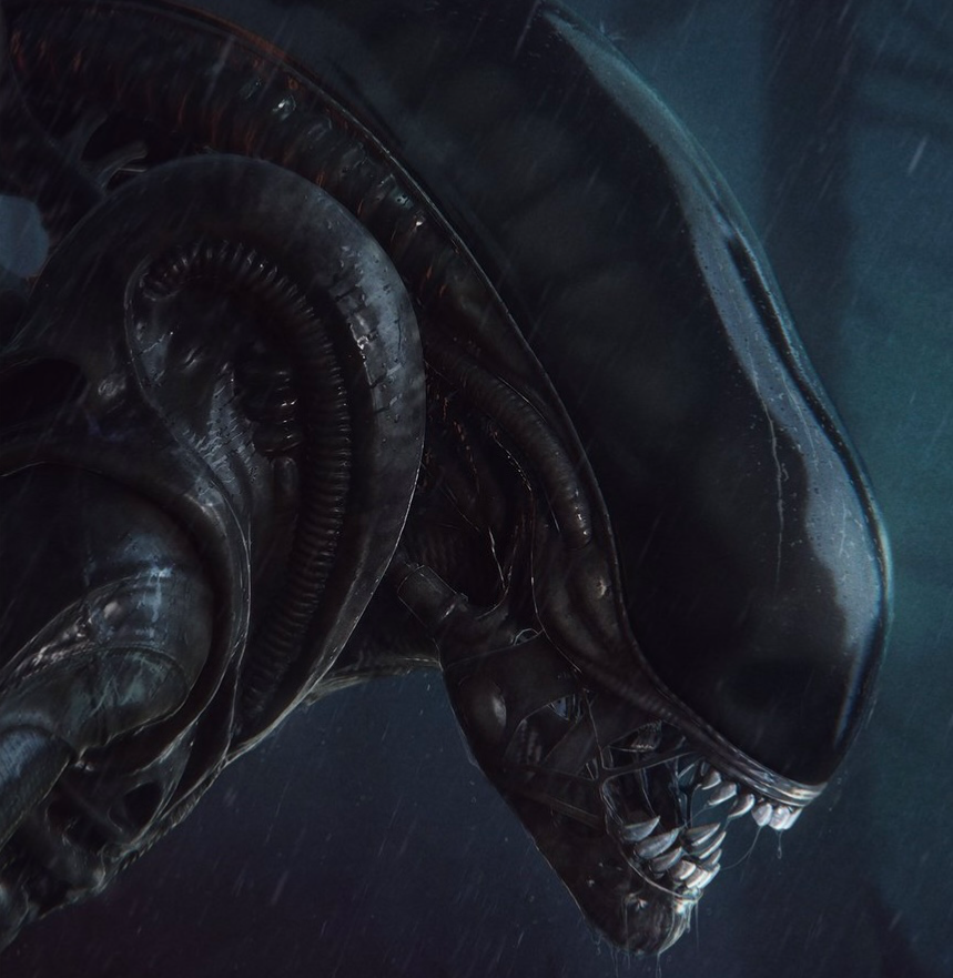 Shedding | Xenomorph TF