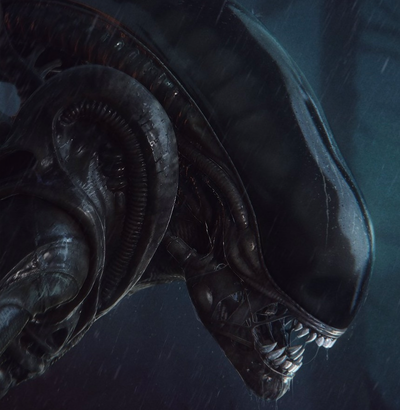 Shedding | Xenomorph TF