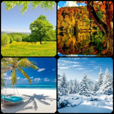The Seasonal Courts