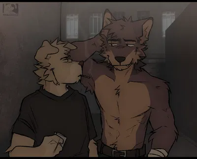 Jin Doyak & Bryce