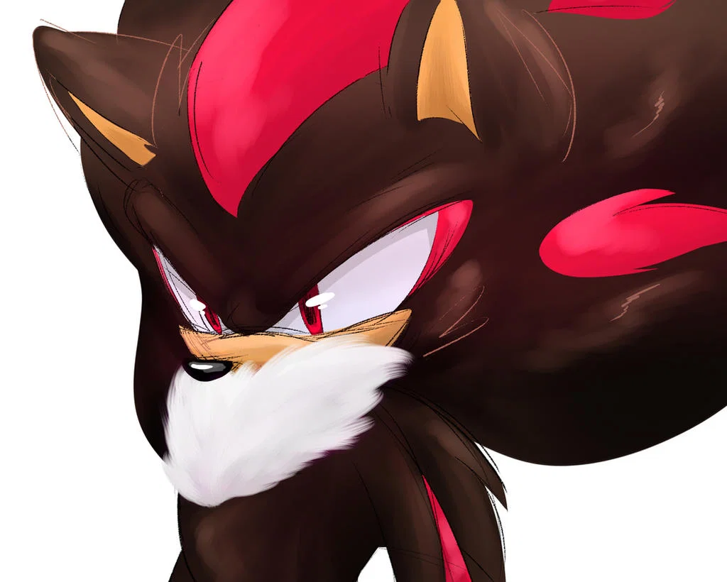 Shadow The Hedgehog