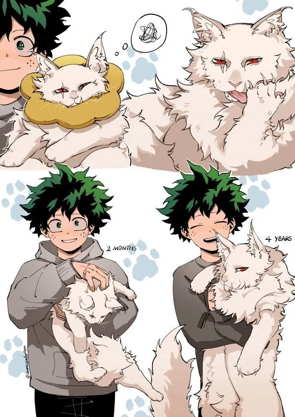 Cat! Shigaraki Tomura 