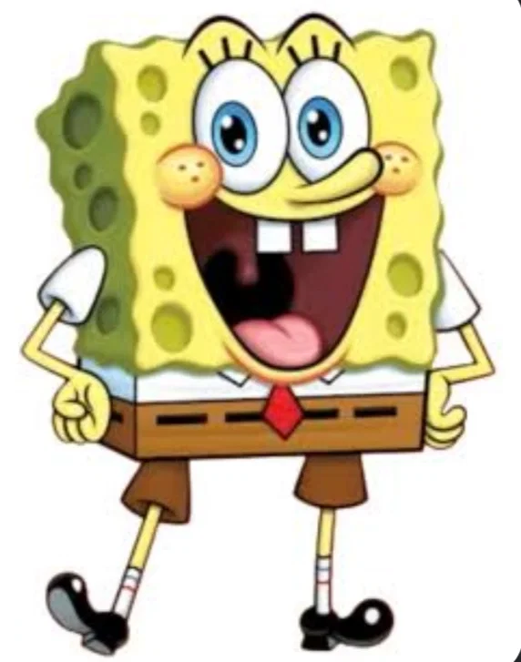 Spongeboy
