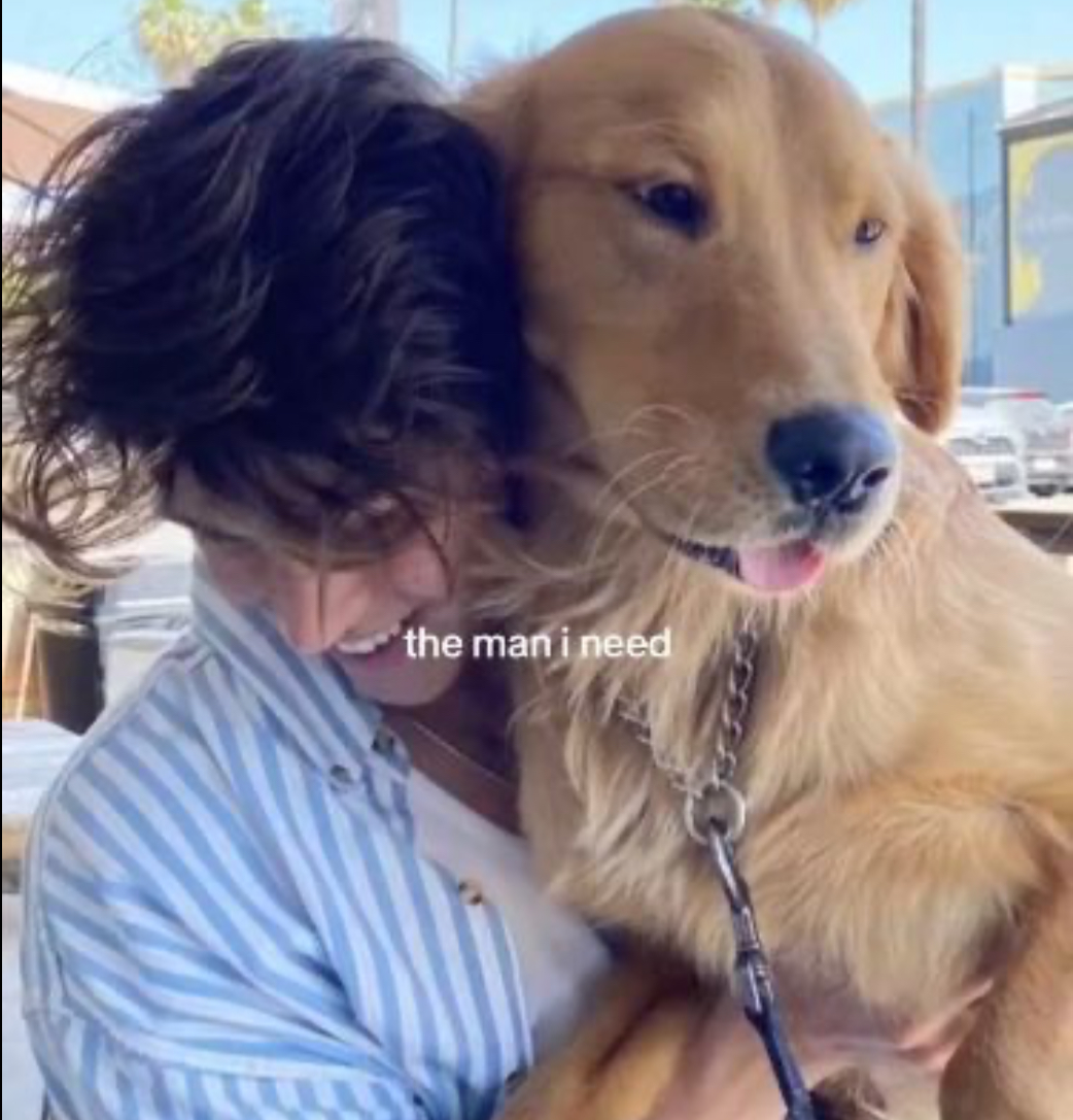 Golden Retriever Guy