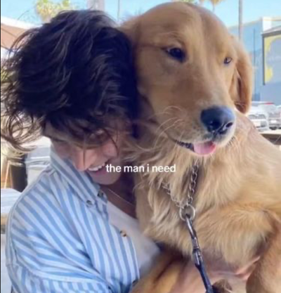 Golden Retriever Guy
