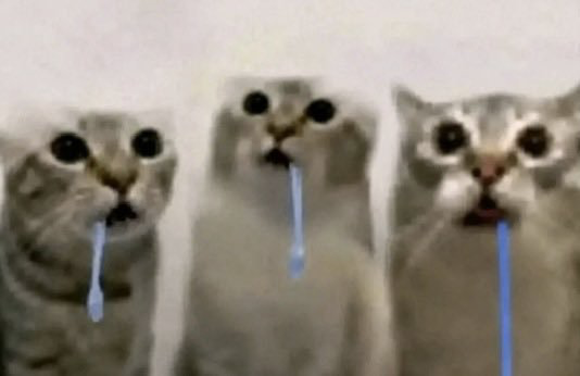 Just did drugs