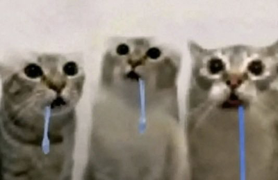 Just did drugs