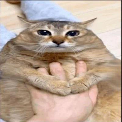 Helo guys (question!!!)