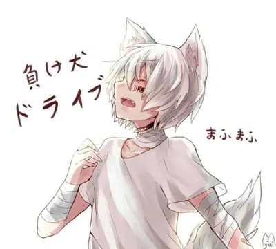 Aku Fox