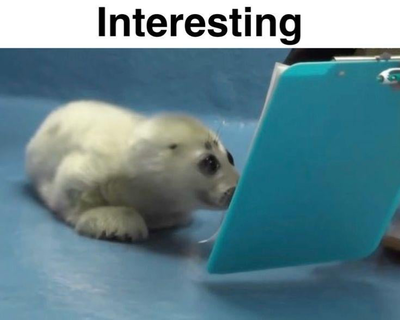 100 Subs! (Bot vote too)