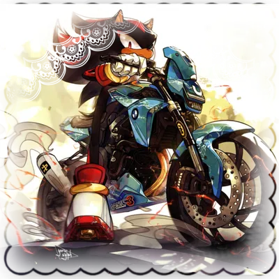 .ೃ [BIKER] SHADOW THE HEDGEHOG ࿐