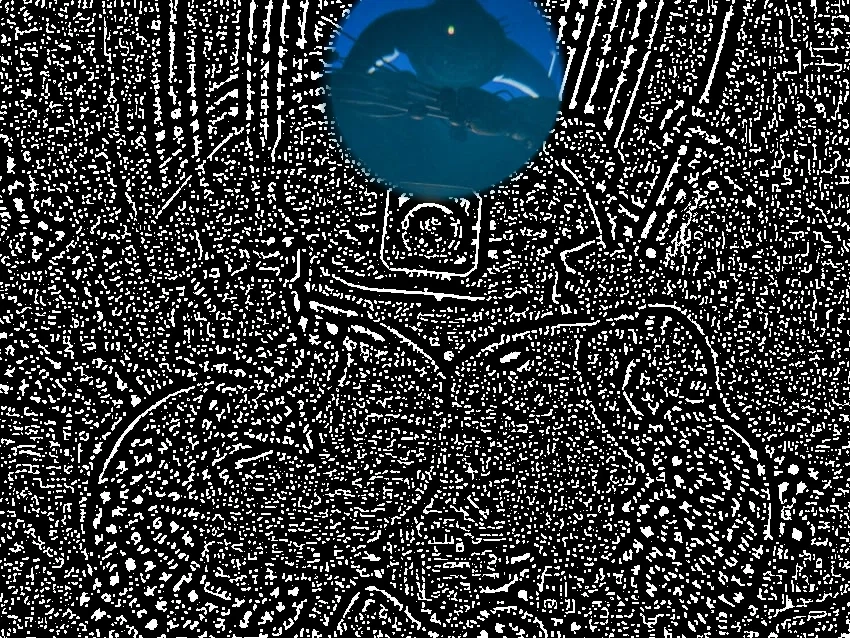(The Prototype / Experiment 1006)