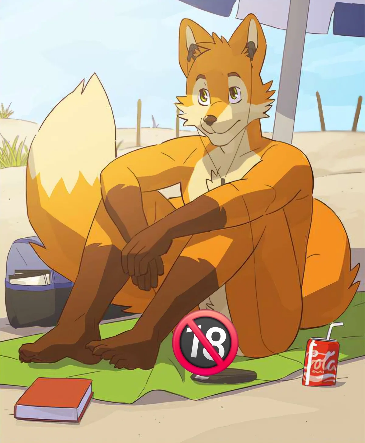 Fox on the beach